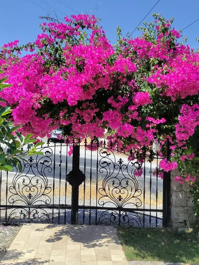 Harmanyeri Tatilevi Bed & Breakfast Selimiye  Selimiye (Aegean)