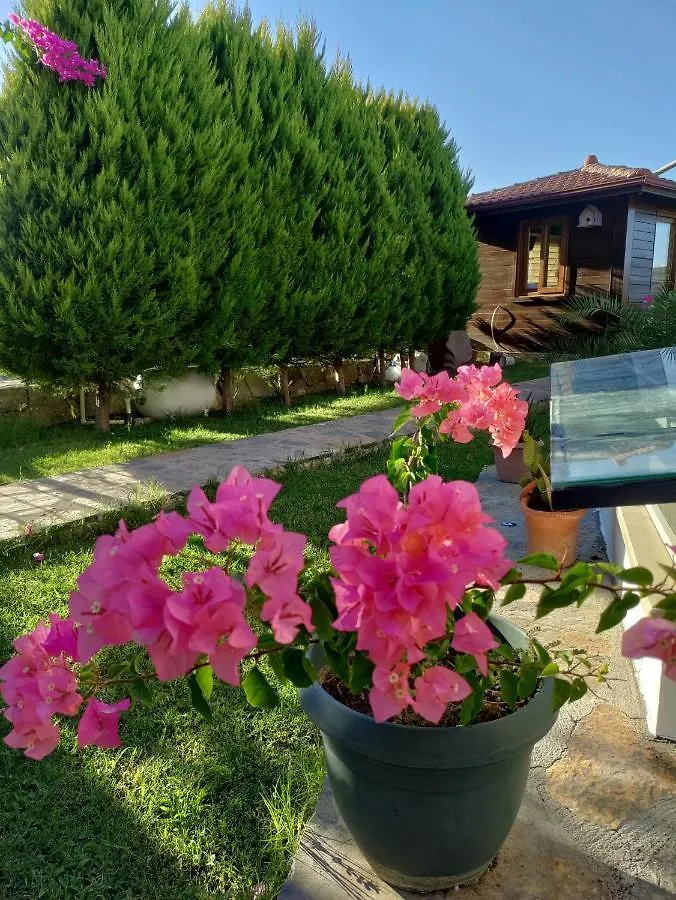 Harmanyeri Tatilevi Bed & Breakfast Selimiye