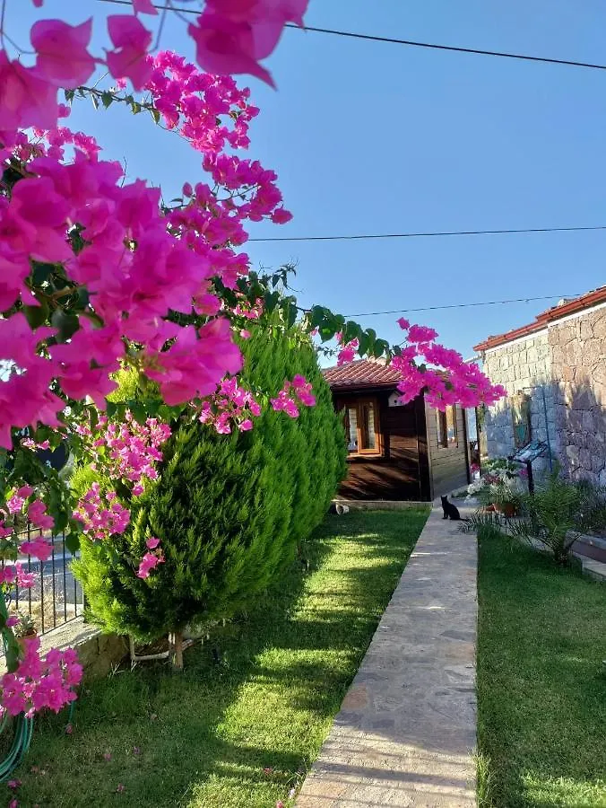 Harmanyeri Tatilevi Bed & Breakfast Selimiye  0*, Selimiye (Aegean)