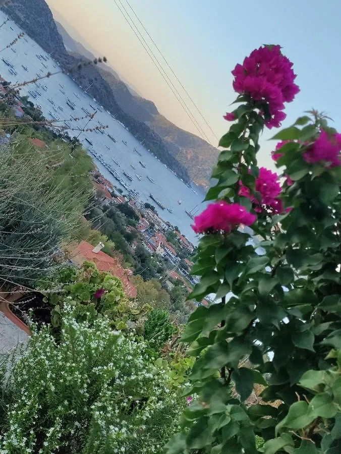 Harmanyeri Tatilevi Bed & Breakfast Selimiye